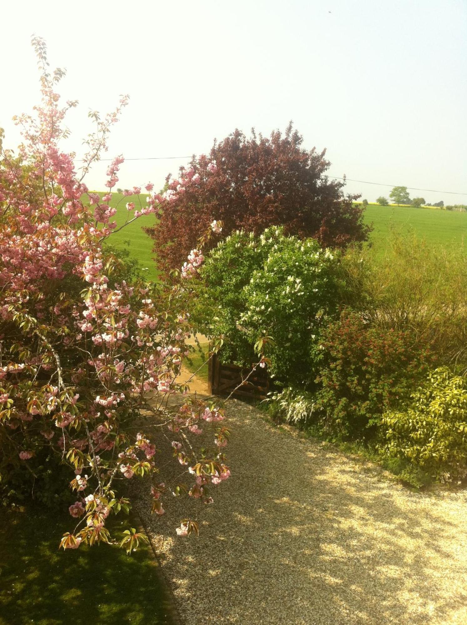 Whitchurch Farm Guesthouse Alderminster Εξωτερικό φωτογραφία